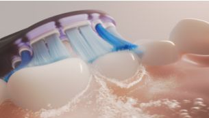 Sonicare Fluid Action