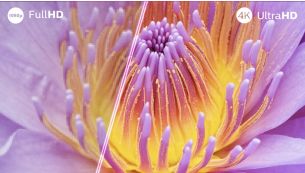 Immerse yourself in what you love. Ambilight TV.