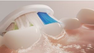 Sonicare Fluid Action