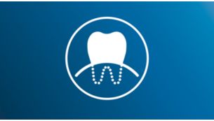 Up to 7x healthier gums* in just 2 weeks