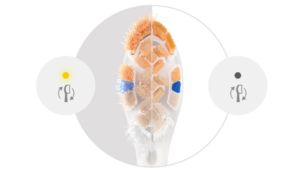 Keep brushing your best with brush head replacement reminder